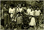 13_cocievera_annina__Vendemmia S_g
